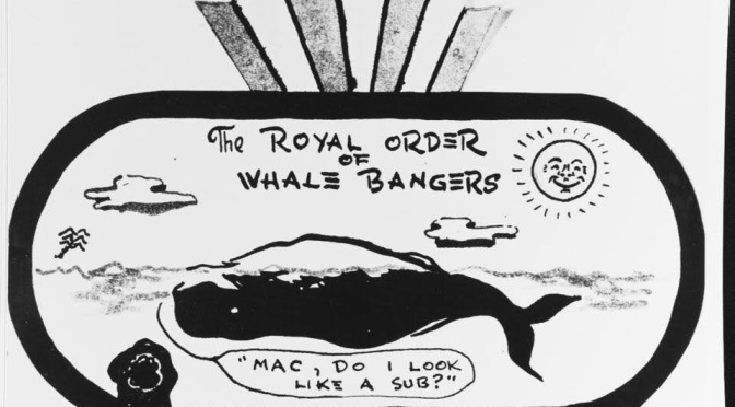 ╠人與鯨的歷史╣「U型潛艇還是鯨魚？」二戰的秘密報告解釋了兩者的區別(2021.04.14)