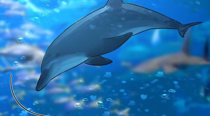 ╠聊聊╣韓漫告訴你海豚經長期圈養會有的行為異常(2022.01.19)