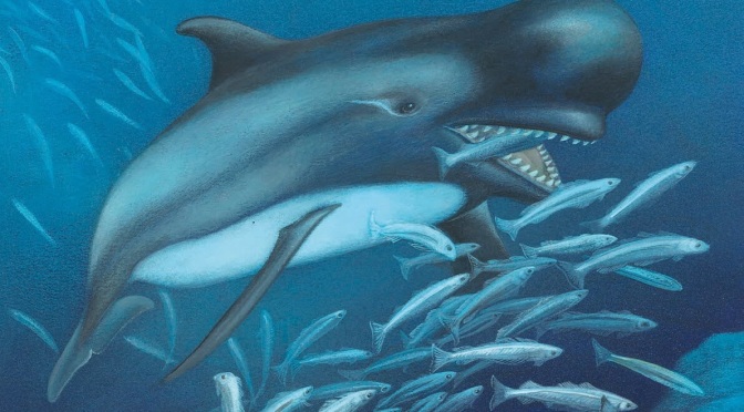 ╠古鯨╣在希臘羅德島發現了偽虎鯨祖先的骨骼化石(2022.03.07)