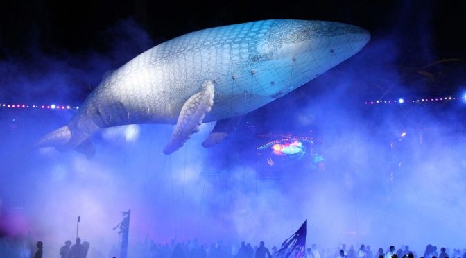 ╠澳洲/鯨魚信仰╣在2020年NAIDOC週上慶祝白化大翅鯨Migaloo的神聖故事(2020.11.08)