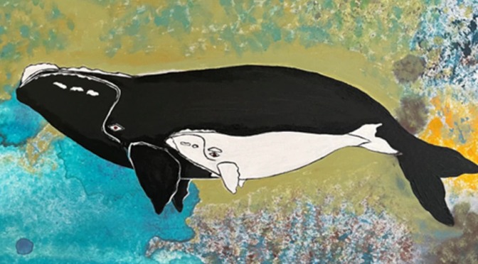 ╠澳洲╣原住民說，馬拉庫塔白鯨的死亡是忽視陸地和海洋的"悲哀"跡象(2022.07.29)