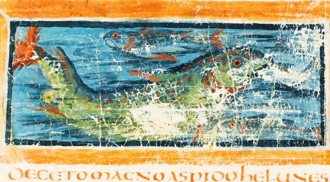 ╠新發現╣新的鯨魚行為可能是古老北歐海洋生物神話的靈感來源(2023.02.28)